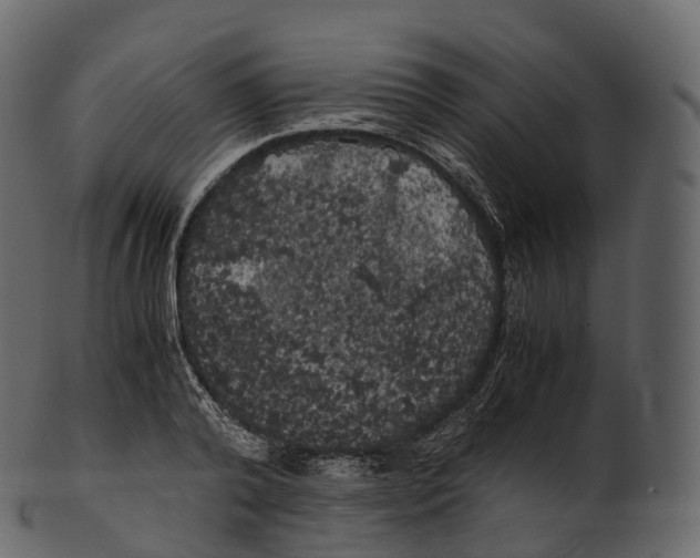 X0000100490792200807031915