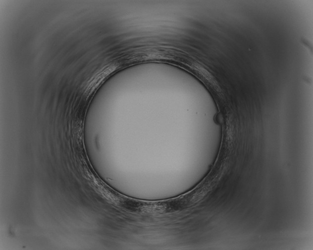 X0000100490793200807031915