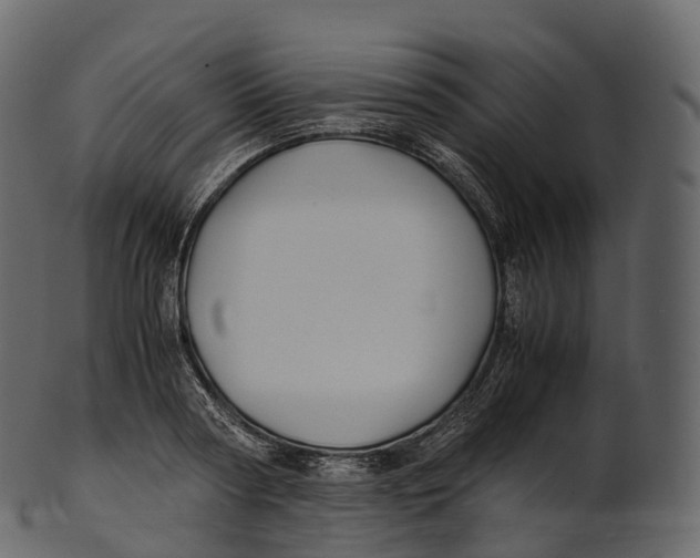 X0000100490794200807031915