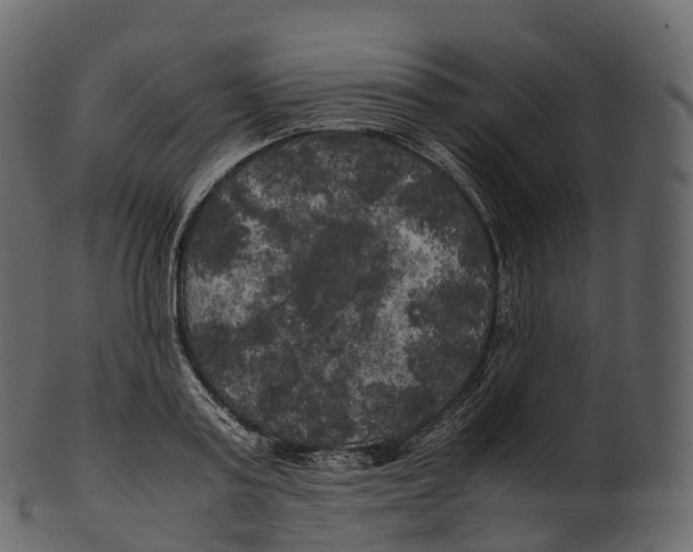 X0000100490795200807031915