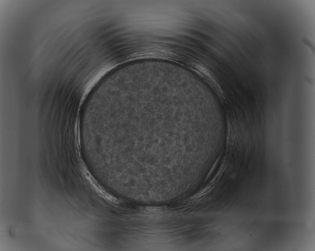 X0000100490796200807031915