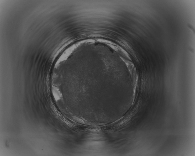 X0000100490798200807031915