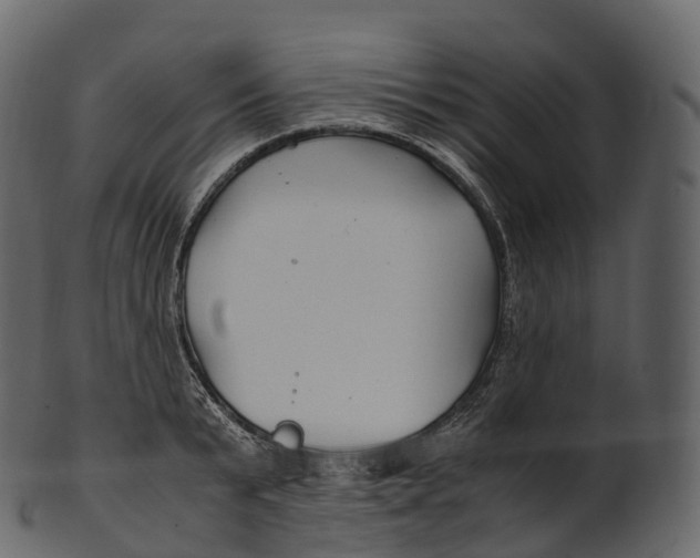 X0000100490799200807031915