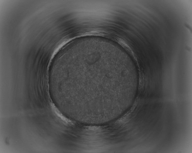 X0000100490800200807031915