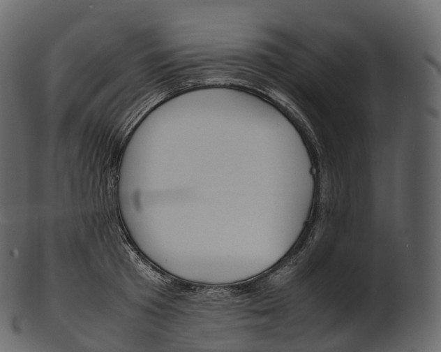 X0000100490801200807031915