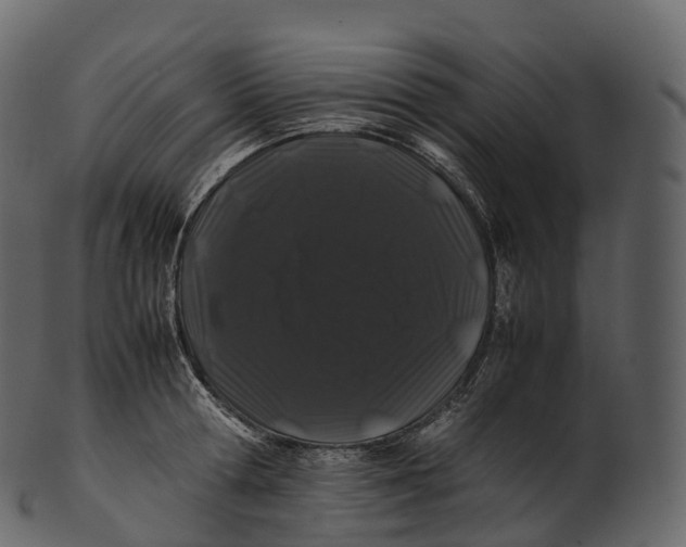 X0000100490802200807031915