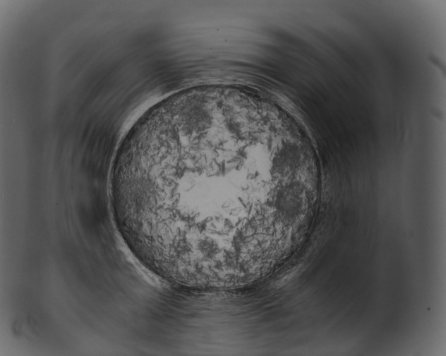 X0000100490803200807031915