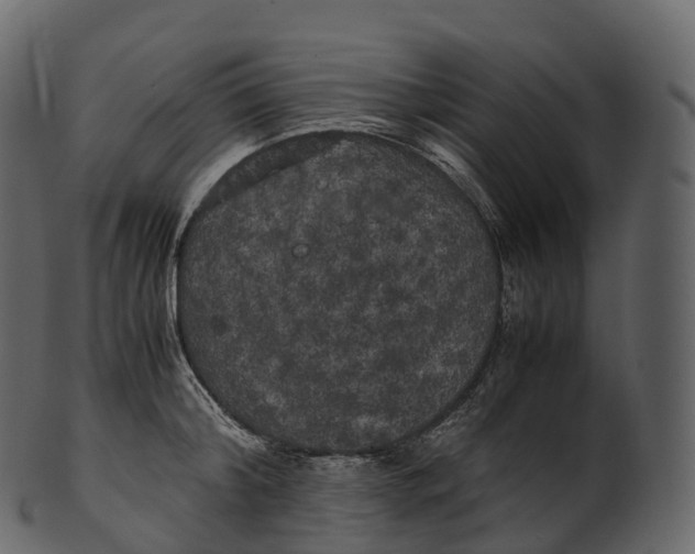 X0000100490804200807031915