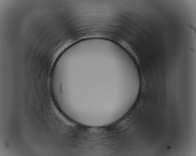 X0000100490805200807031915