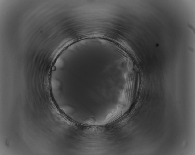 X0000100490806200807031915