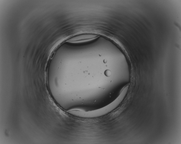 X0000100490807200807031915