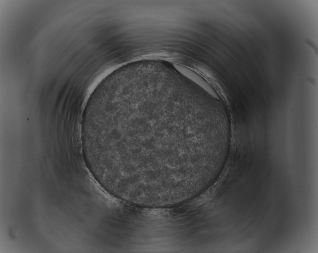 X0000100490808200807031915