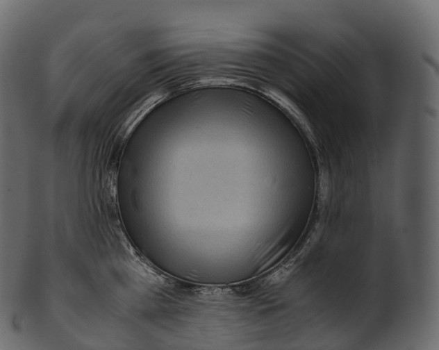 X0000100490809200807031915