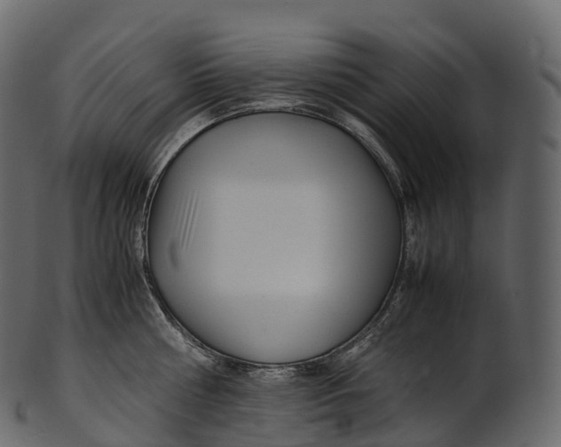 X0000100490810200807031915