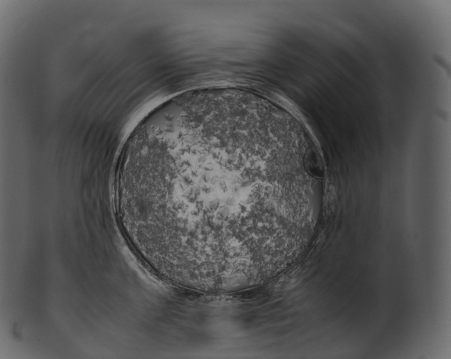 X0000100490811200807031915