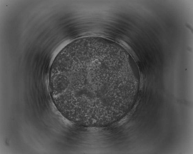 X0000100490812200807031915