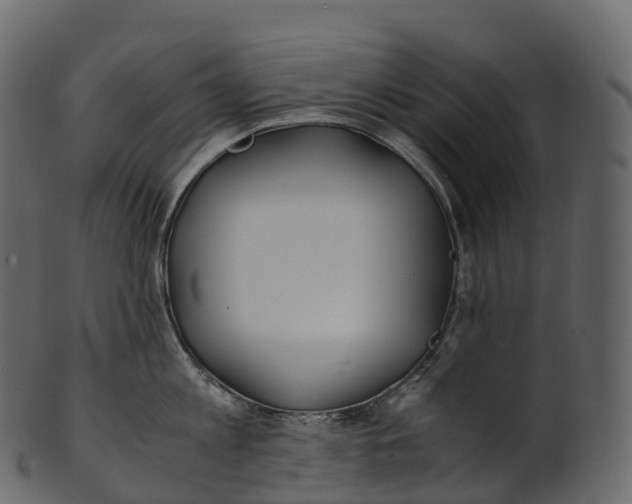 X0000100490813200807031915