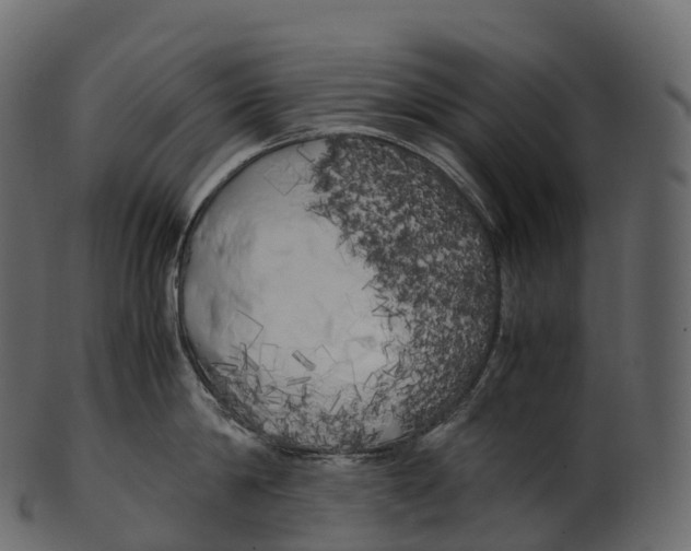 X0000100490814200807031915