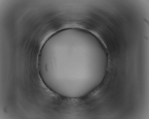 X0000100490815200807031915