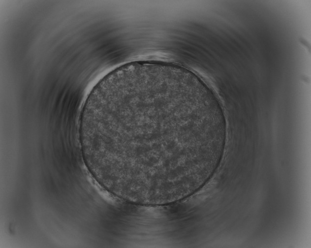 X0000100490816200807031915