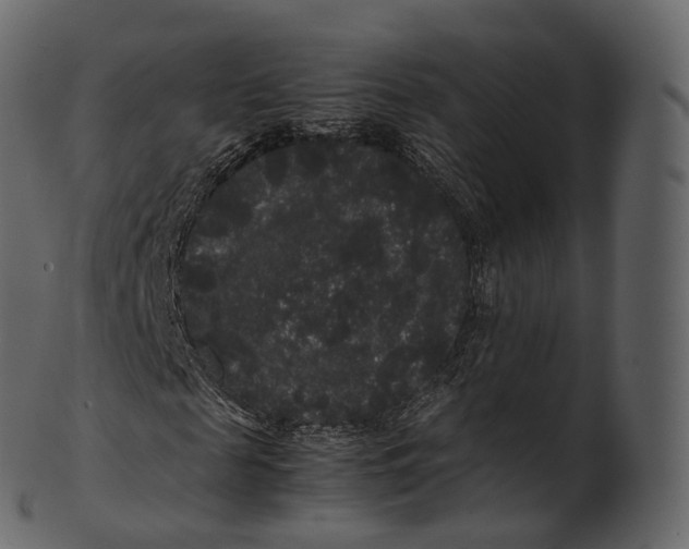 X0000100490817200807031914