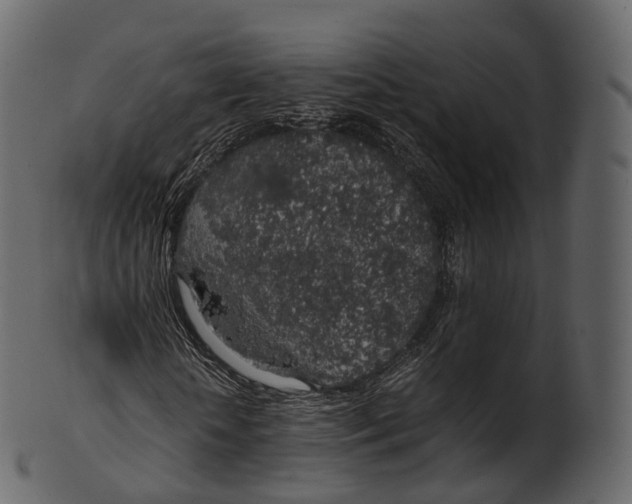 X0000100490818200807031914