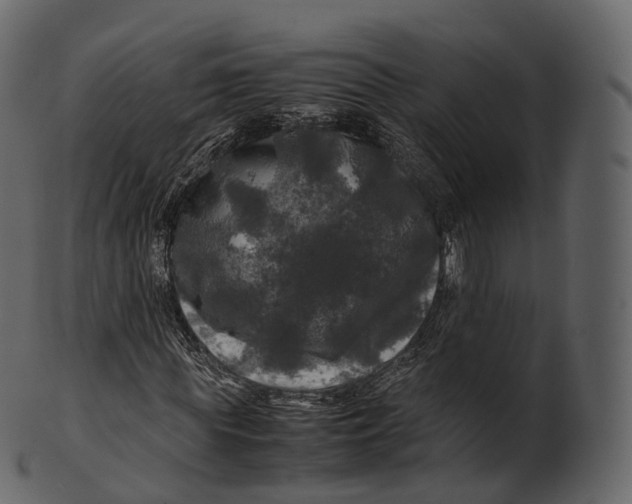 X0000100490819200807031914