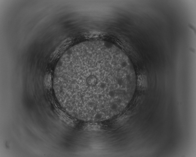 X0000100490820200807031914