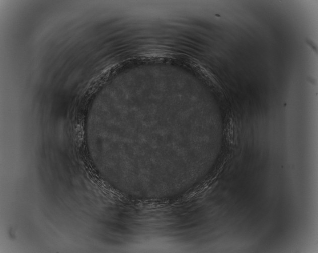 X0000100490821200807031914