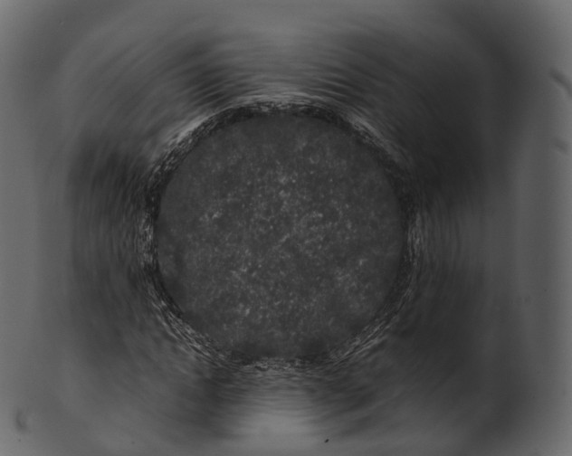 X0000100490822200807031914