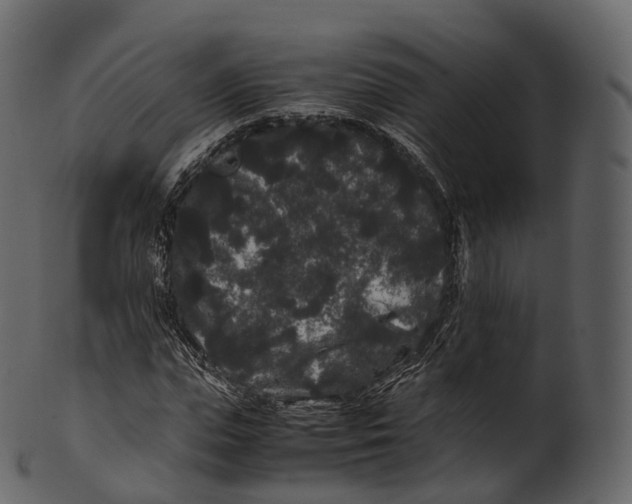 X0000100490823200807031914