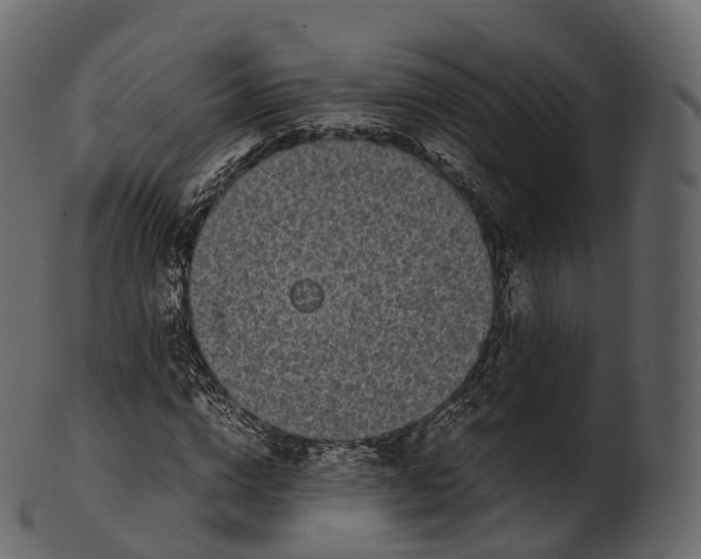 X0000100490824200807031914