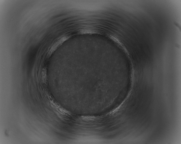 X0000100490825200807031914