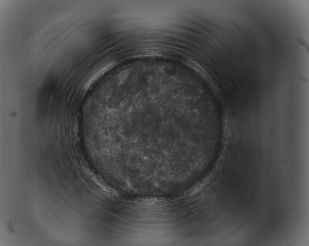 X0000100490826200807031914