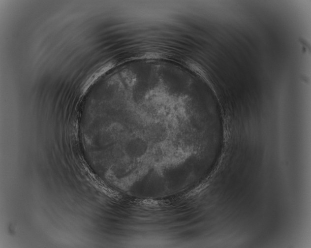 X0000100490827200807031914