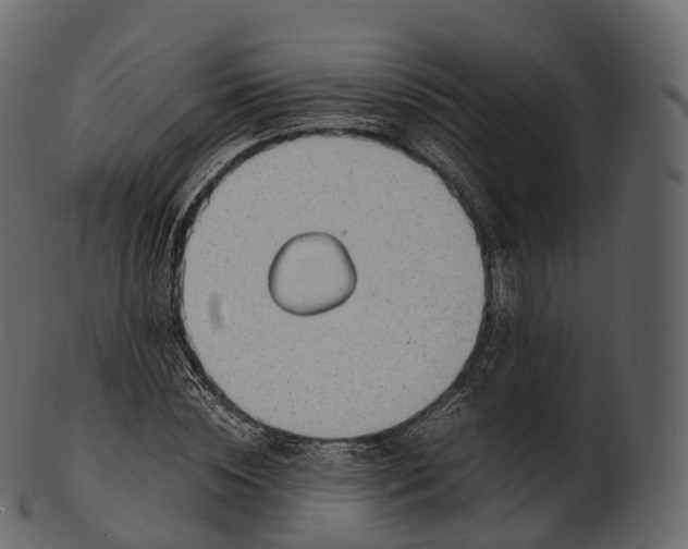 X0000100490828200807031914