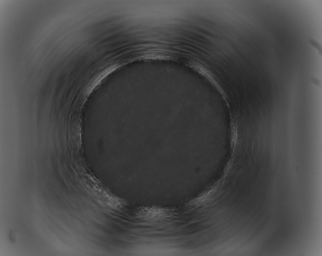 X0000100490829200807031914