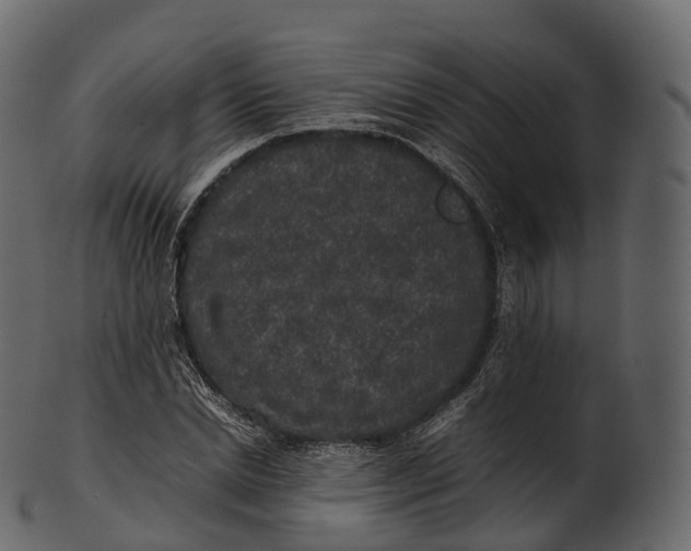 X0000100490830200807031914