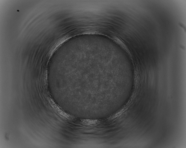 X0000100490831200807031914