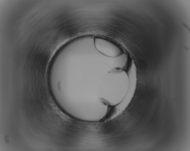 X0000100490832200807031914