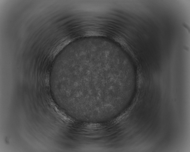 X0000100490833200807031914