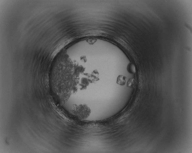 X0000100490834200807031914