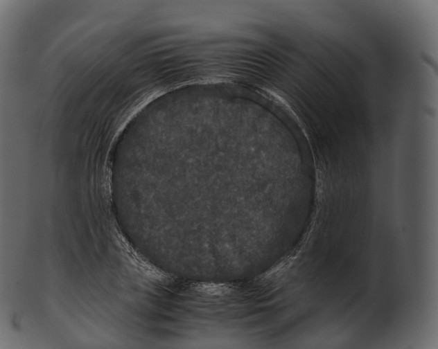 X0000100490835200807031914