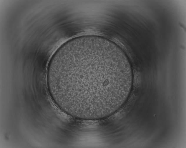 X0000100490836200807031914