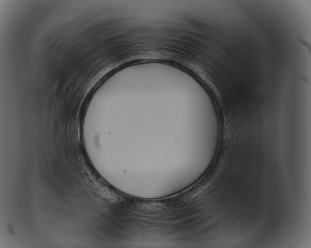 X0000100490837200807031914