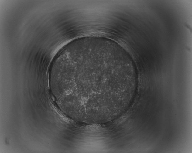 X0000100490838200807031914