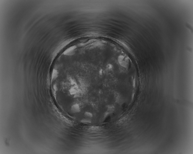 X0000100490839200807031914