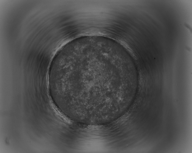 X0000100490840200807031914