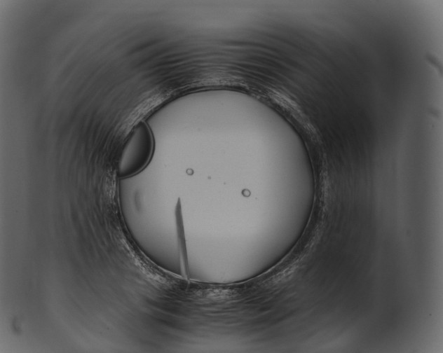 X0000100490841200807031914