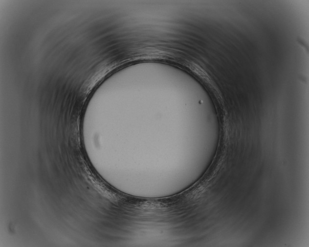 X0000100490842200807031914